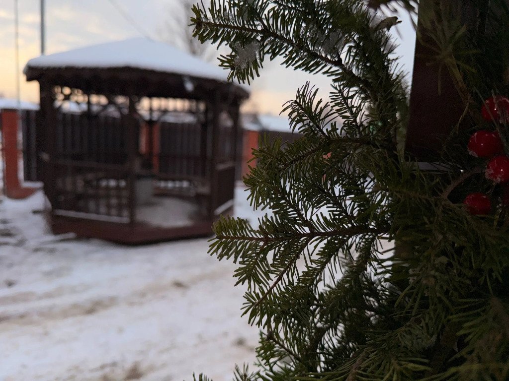 Отель Альфа, Сахалинская область: фото 3