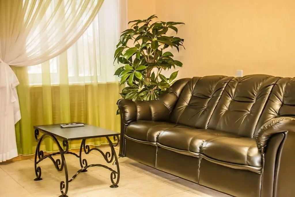 Отель Ингрия, Ленинградская область: фото 5