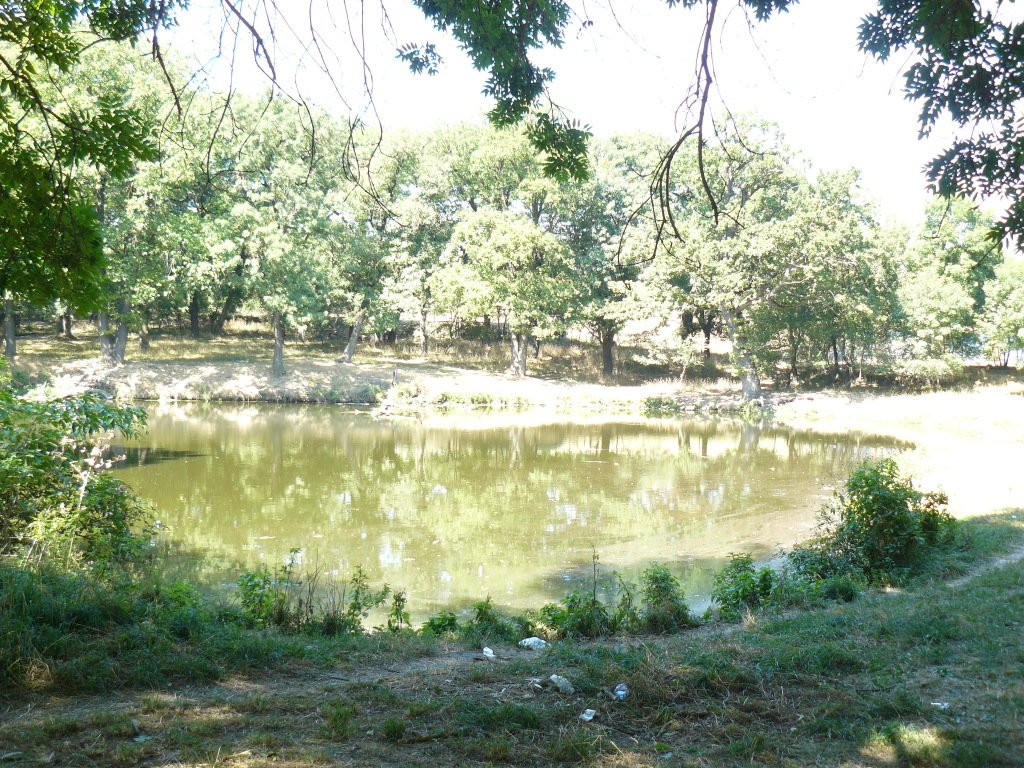 Отель Динамо, Ставропольский край: фото 4