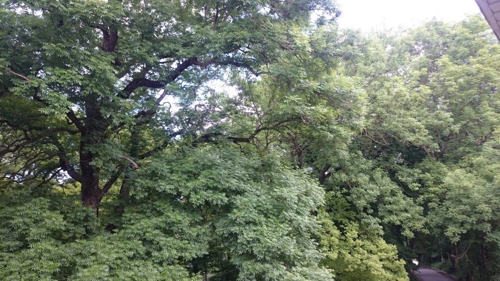 Отель Динамо, Ставропольский край: фото 5