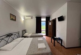 3-мест. станд., Отель Аскар, Пицунда