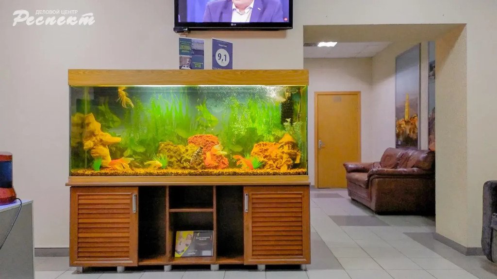 Мини-отель Respect, Волгоградская область: фото 3