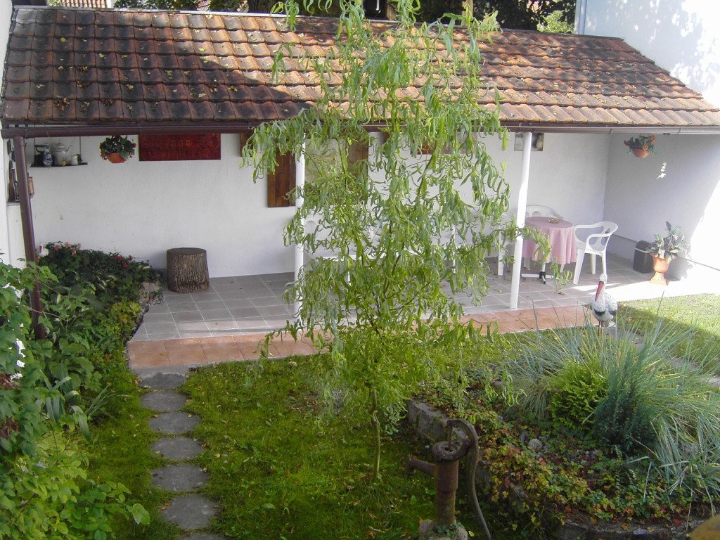 Мини-Отель  Дом Дружбы, Калининградская область: фото 2