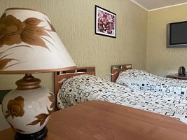 Двухместный номер Standard с красивым видом из окна 2 отдельные кровати, Мини-отель Авторейс, Горно-Алтайск