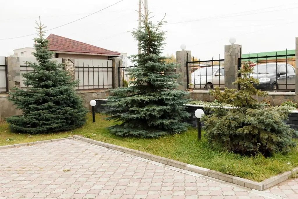 Мини-Отель Лабиринт, Владимирская область: фото 4