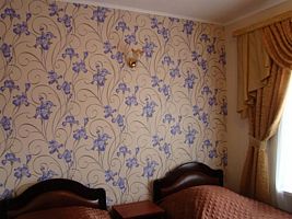 Двухместный полулюкс 2 отдельные кровати, Мини-Отель Вирсавия, Муром