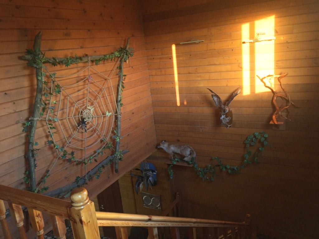 Мини-Отель Колизей, Ростовская область: фото 4