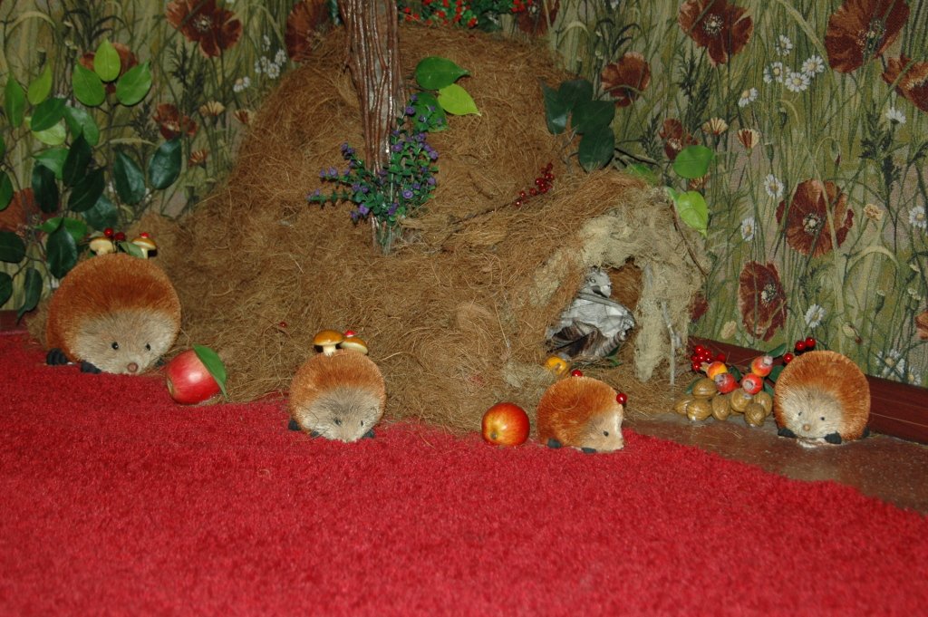 Мини-отель Вега, Иркутская область: фото 4