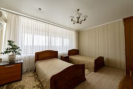 Двухместный номер Улучшенный с красивым видом из окна 2 отдельные кровати, Мини-Отель Дон, станица Вешенская
