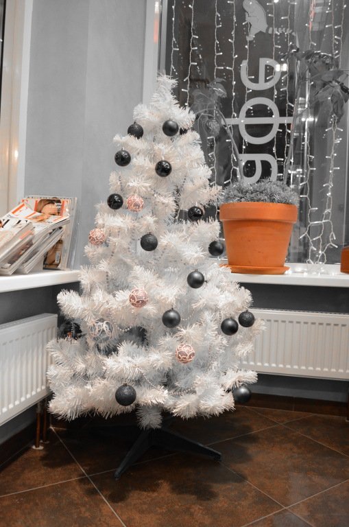 Мини-Отель Игуасу, Московская область: фото 3