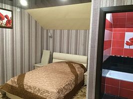 Двухместный номер Стандарт Красный мак с видом на город двуспальная кровать, Мини-отель Астра, Волгодонск