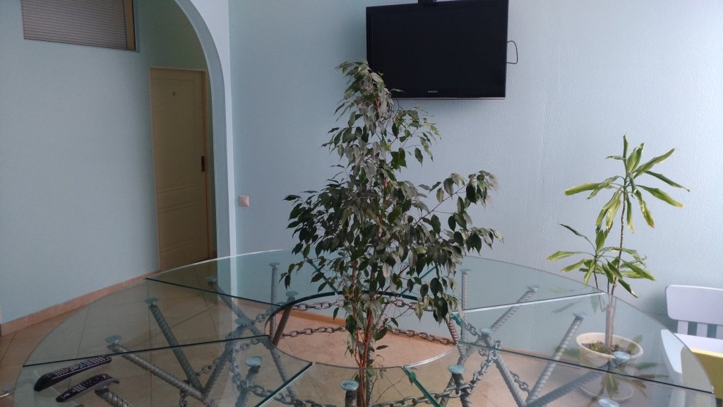 Мини-отель ТарЛеон, Московская область: фото 5