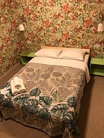 Двухместный номер Economy двуспальная кровать, Мини-отель Мини Отель Сова на Юго Западной, Москва
