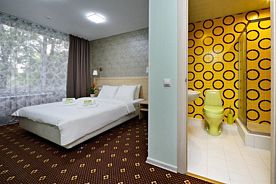 Двухместный люкс Comfort двуспальная кровать, Мини-отель Мини Отель Сова на Юго Западной, Москва