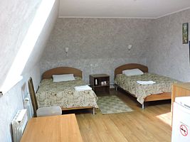 Двухместный номер Standard Мансарда 2 отдельные кровати, Мини-отель Дом Быта, Зубова Поляна