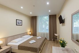 Двухместный номер Comfort двуспальная кровать, Мини-Отель Академик, Москва