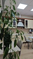 Двухместный номер Комфорт 1 категории 2 отдельные кровати, Мини-Отель Восток, Глухари