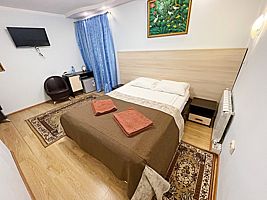Двухместный номер Standard с красивым видом из окна двуспальная кровать, Мини-Отель Музеон, г. Ивантеевка