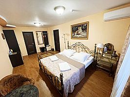 Двухместная Studio Room Deluxe двуспальная кровать, Мини-Отель Музеон, г. Ивантеевка