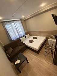 Мини-отель Аэропорт Внуково