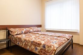Двухместный номер Standard с видом на город двуспальная кровать, Мини-отель Черемушки, Москва