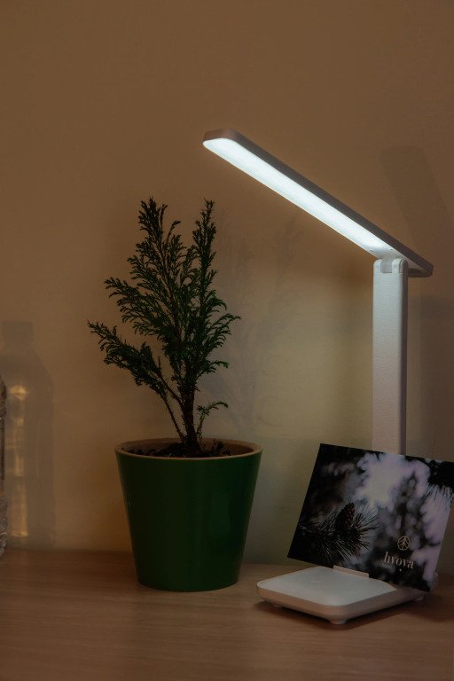 Мини-отель Хвоя, Мурманская область: фото 3