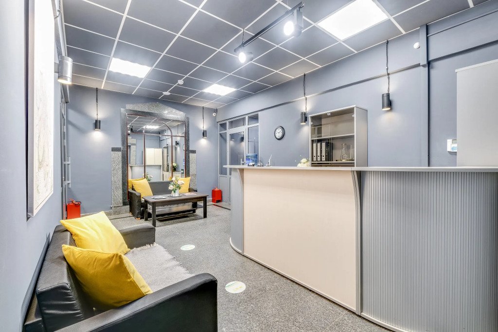 Меблированные комнаты Domotel, Московская область: фото 4