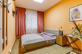 Двухместный номер Economy двуспальная кровать, Мини-отель Madison, Москва