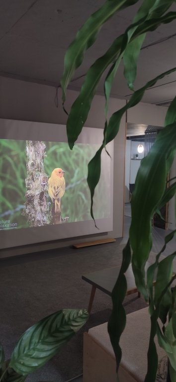 Мини-отель 4 комнаты, Республика Дагестан: фото 4