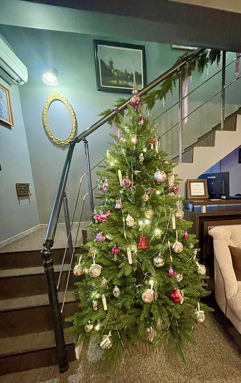 Мини-отель Плюшкин, Ростовская область: фото 3