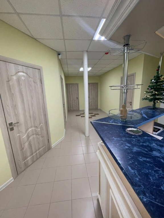 Мини-отель Два Льва, Нижегородская область: фото 3