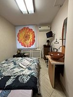 Двухместный номер Economy двуспальная кровать, Мини-отель Аура, Москва