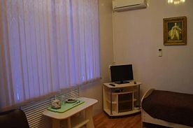 Двухместный номер Economy 2 отдельные кровати, Мини-отель У Палыча, Камышовый