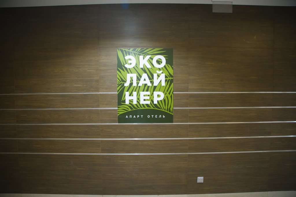 Отель Ecoliner Hotel, Московская область: фото 2