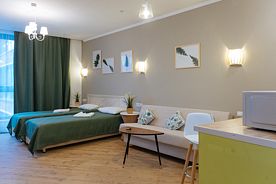 Двухместный номер Superior с балконом 2 отдельные кровати, Апарт-отель Отель Ecoliner Hotel, Москва