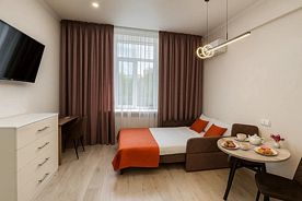 Номер полутороспальный диван Комфорт, Апарт-отель Metro rooms, Москва