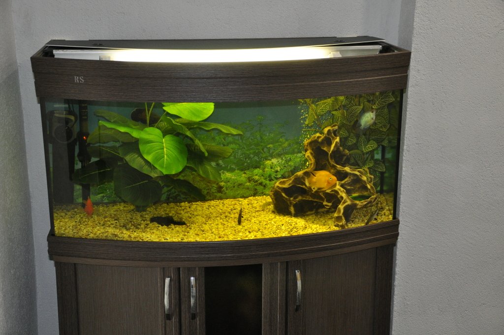 Хостел Олимпия, Московская область: фото 3