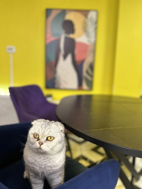 Хостел Точка, Московская область: фото 5