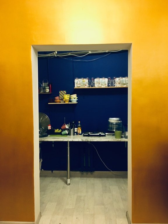 Хостел Pasternak, Московская область: фото 5