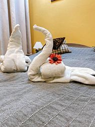 Хостел Дюжина