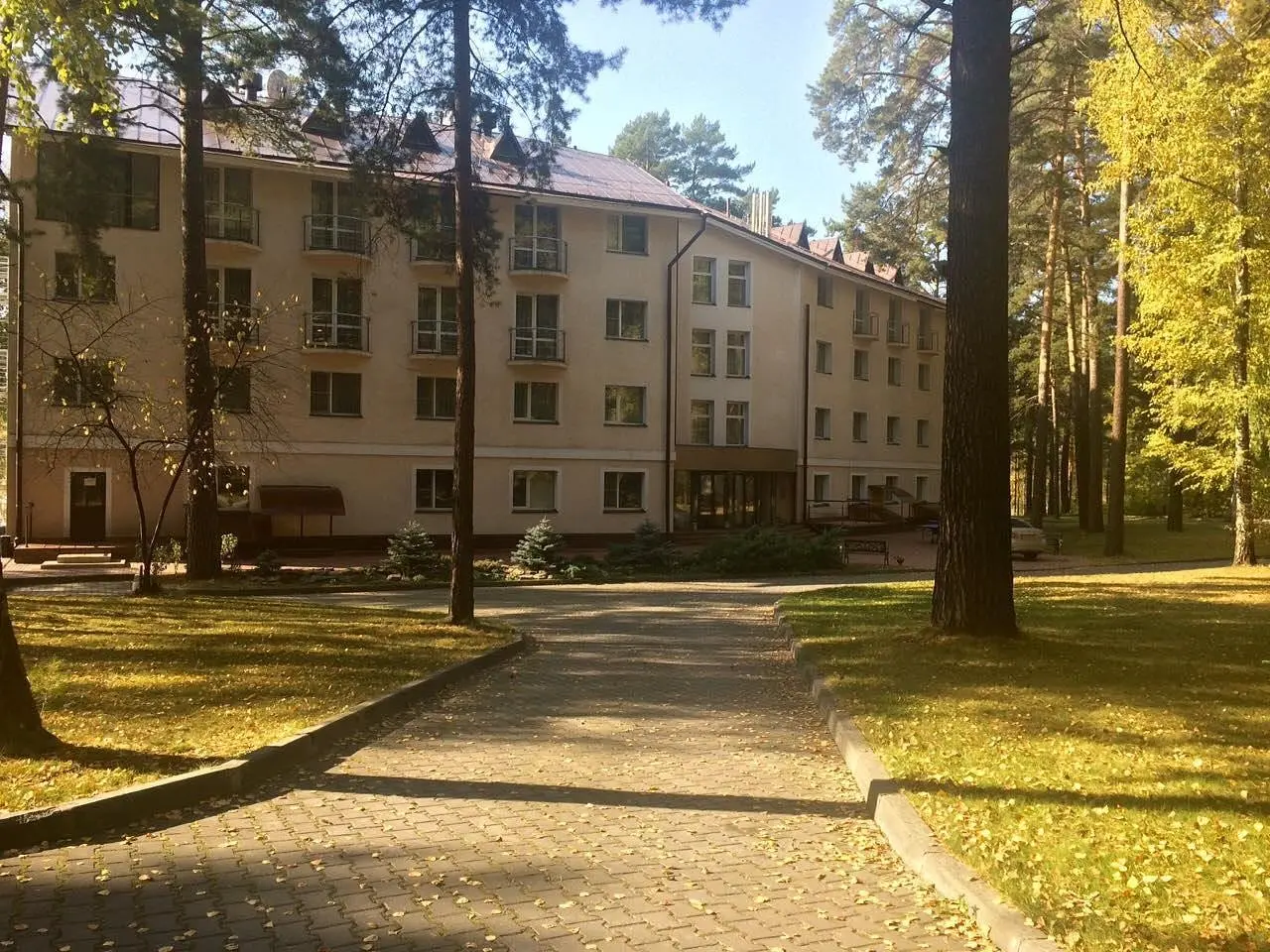 Морозово, Новосибирская область: фото 3