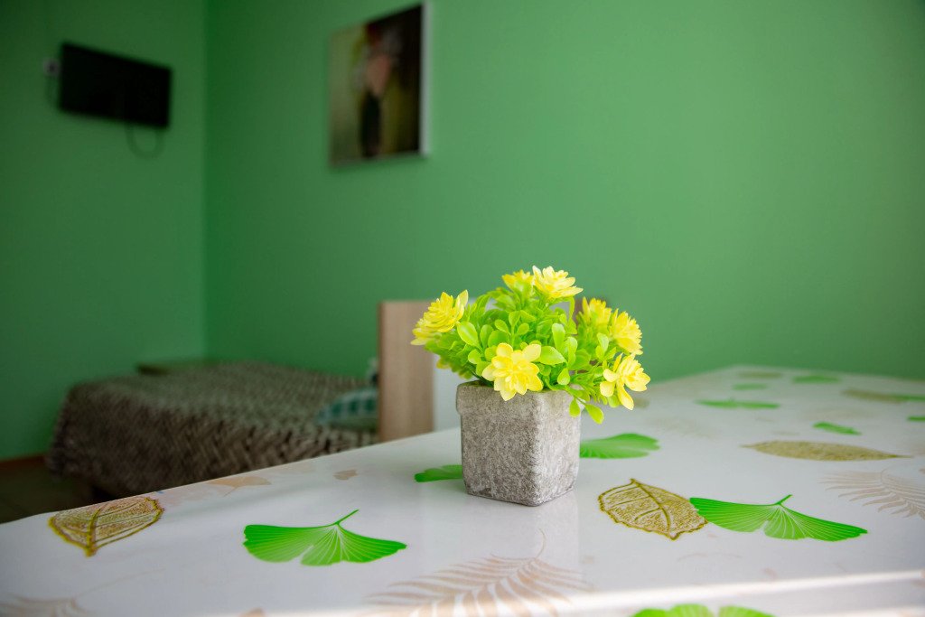 Хостел Белояръ, Сахалинская область: фото 4