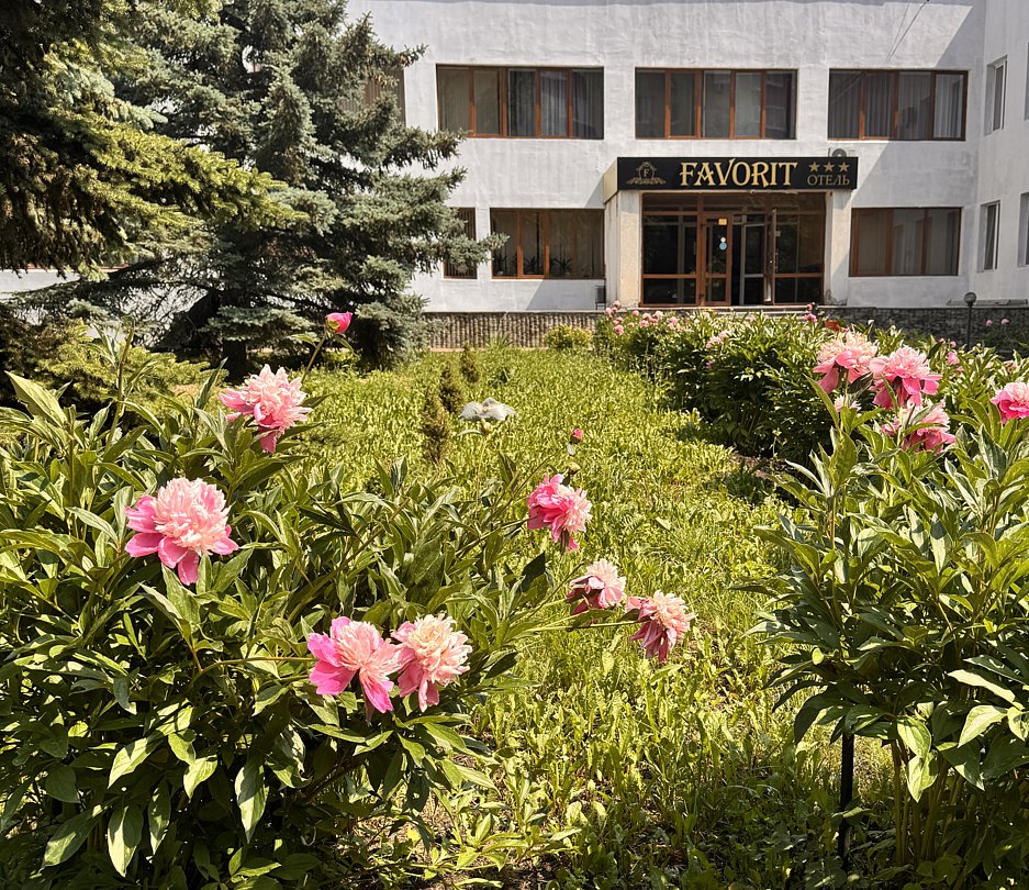 Фаворит, Республика Башкортостан: фото 3