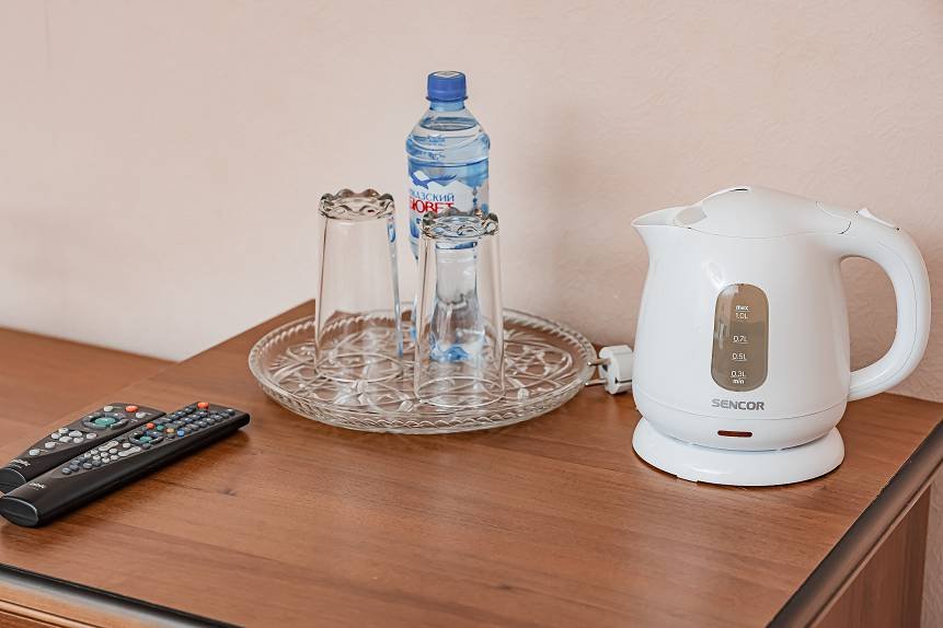 Люкс 2-местный 1-комнатный (корпус 1)