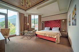 Делюкс Deluxe+, Vertex Spa hotel, Эстосадок