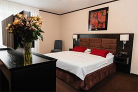 Полулюкс с двуспальной кроватью, Отель Altai Palace Курорт Сибирская Монета, урочище Каим