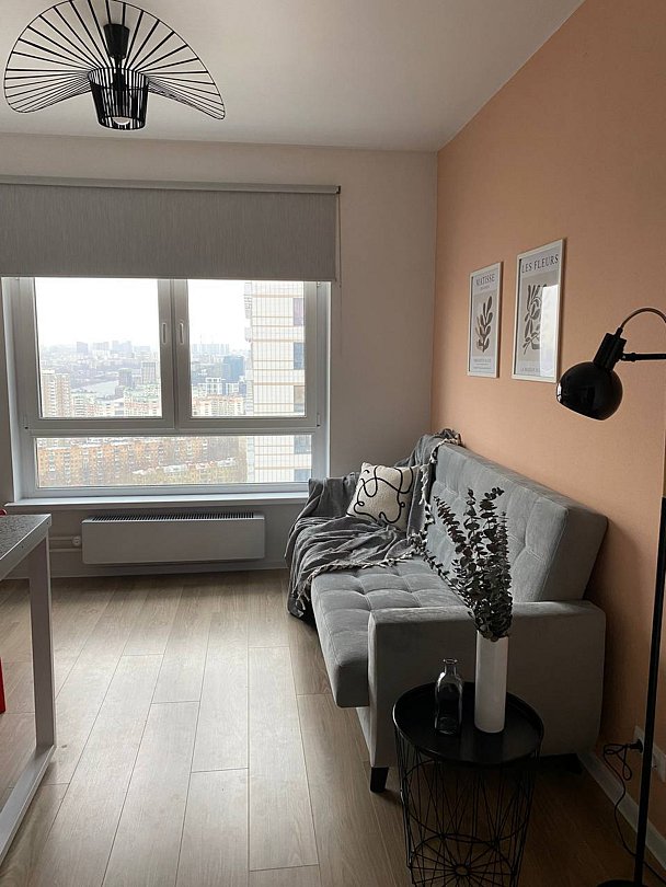 Студия около метро Коломенская, Московская область: фото 5