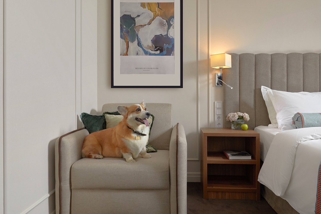 Семейный 2-местный