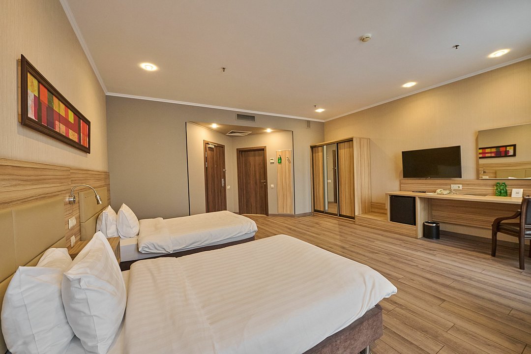 Делюкс 2-местный (TWIN)