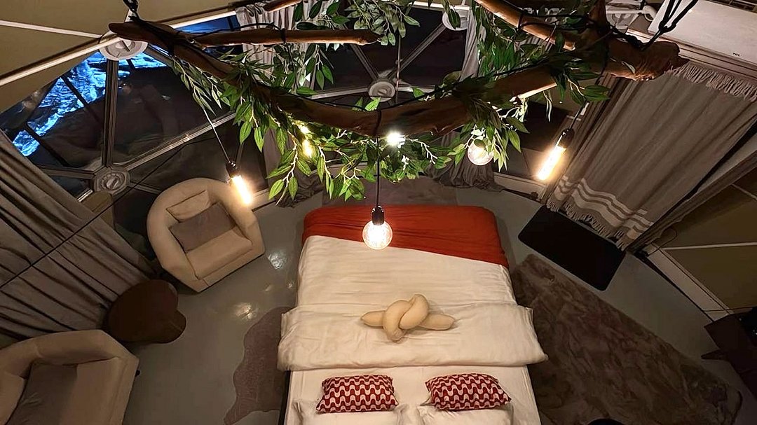 Купольный дом 4-местный (Wood)